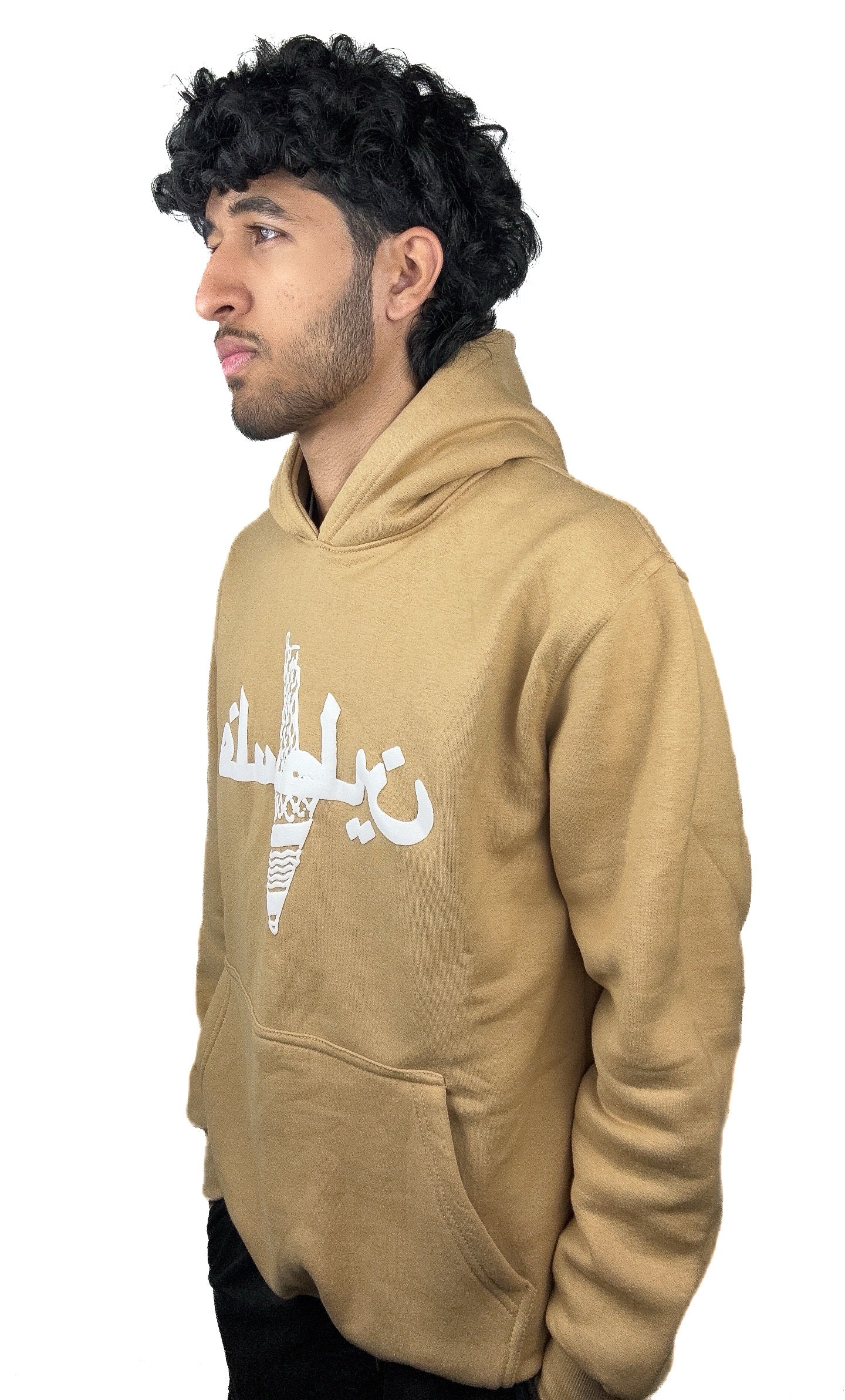 Palestine 1948 Sand Hoodie