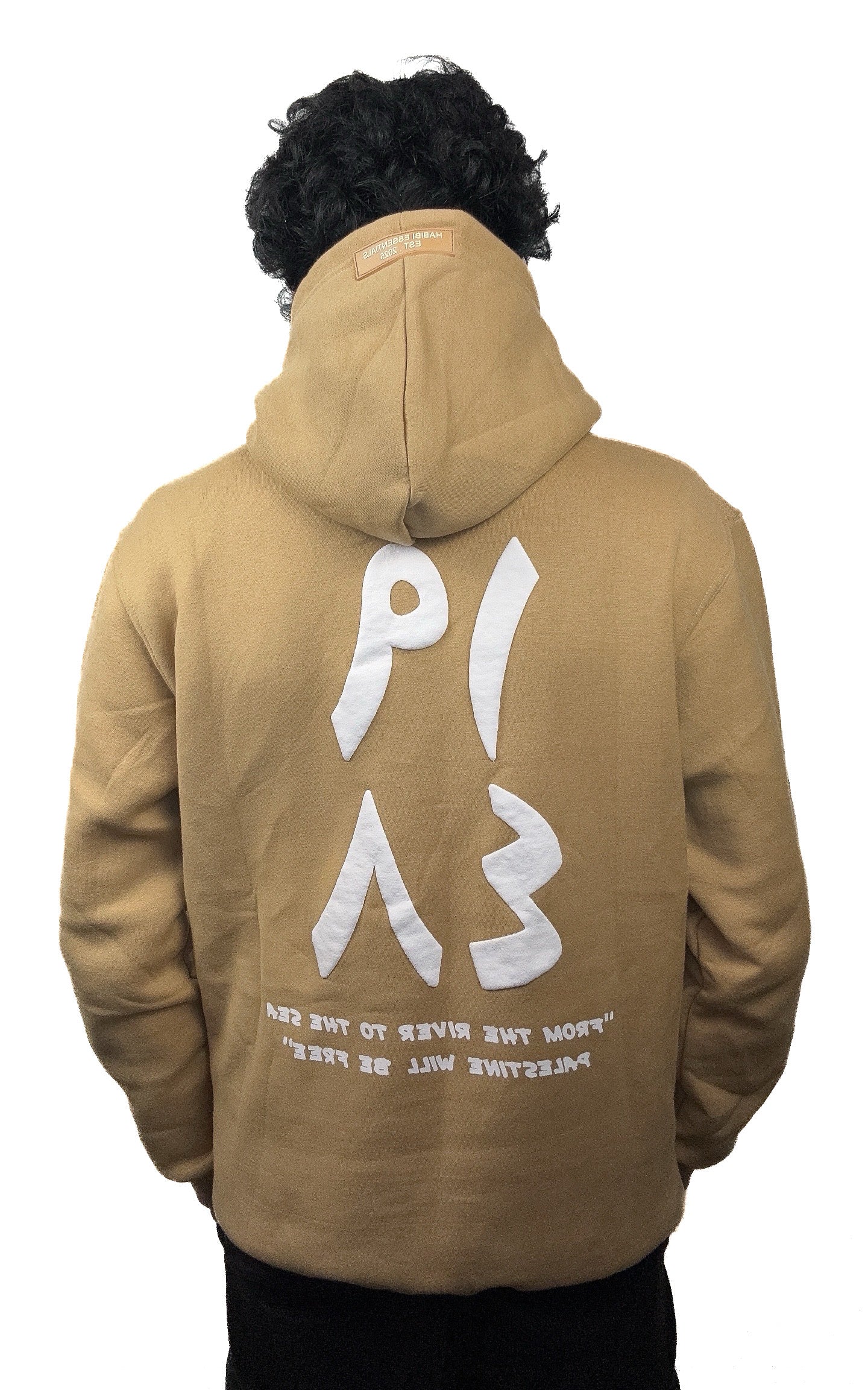 Palestine 1948 Sand Hoodie