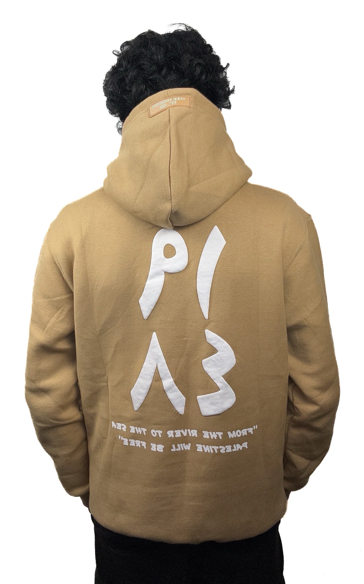 Palestine 1948 Sand Hoodie